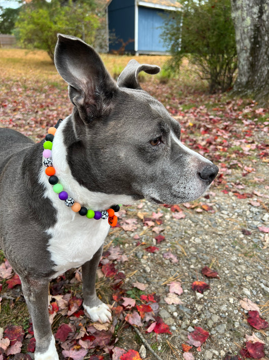 Glow in the dark Halloween collar